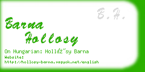 barna hollosy business card